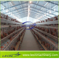 Sistema de alimentação de aves em gaiola de frango série Leon em grande promoção